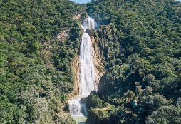 Chiapas Cautivador TGZ - TGZ