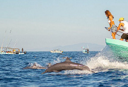 Aventura en el oceano