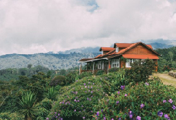 Chiapas Despierta tus sentidos