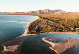 Tour Isla del Tiburón
